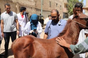 إقبال كبير على قافلة جامعة جنوب الوادي بقرية الشويخات بالاشراف البحرية 32 - جريدة المساء