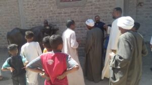 جامعة جنوب الوادى تنظم قافلة متعددة التخصصات إلى قرية "أبومناع غرب" بمحافظة قنا 21 - جريدة المساء