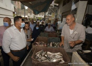 "مختار" يوجه بسرعة تشكيل لجنة لمعاينة "سوق السمك القديم" بالمنزلة تمهيدًا لتطويره 19 - جريدة المساء