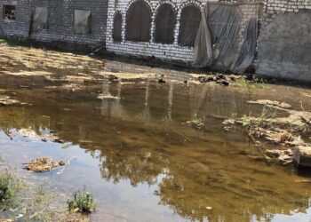 غرق المنازل بدلهمو أشمون ..بسبب ارتفاع منسوب مياه النيل 21 - جريدة المساء