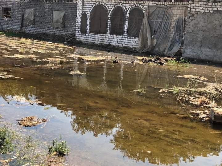 غرق المنازل بدلهمو أشمون ..بسبب ارتفاع منسوب مياه النيل 19 - جريدة المساء