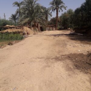 بالصور .. حملات موسعة لإنارة المقابر وإزالة المخلفات بالمدخل الصحراوى لقرية البحرى قمولا بقنا 34 - جريدة المساء