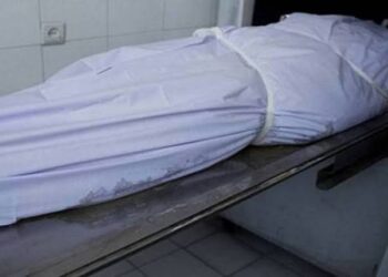 كشف غموض قتيل الترعة الانجليزى .. بالإسكندرية 20 - جريدة المساء