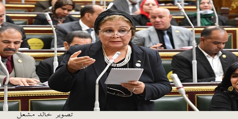 برلمانية عن واقعة طبيب الكلب: رحمتك يارب 19 - جريدة المساء