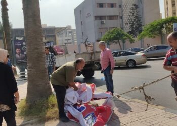 محافظ الإسكندرية: إزالة ٦٠٣ إعلان مخالف وتحرير ٢٦٧ محضر 25 - جريدة المساء