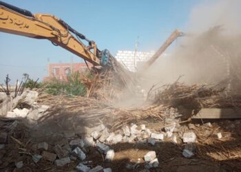 إزالة 37 حالة تعد على أراضي أملاك ري بمركز ديروط بأسيوط 17 - جريدة المساء