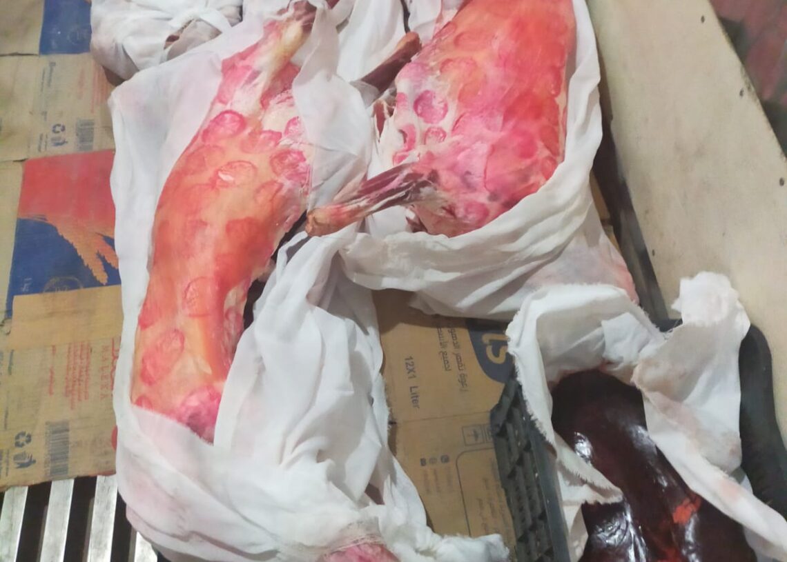 :تحرير 29 محضر والتحفظ على 17 طن مضبوطات خلال الحملات المفاجئة على المحال والاسواق 19 - جريدة المساء :تحرير 29 محضر والتحفظ على 17 طن مضبوطات خلال الحملات المفاجئة على المحال والاسواق 18 - جريدة المساء