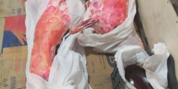 :تحرير 29 محضر والتحفظ على 17 طن مضبوطات خلال الحملات المفاجئة على المحال والاسواق 2 - جريدة المساء :تحرير 29 محضر والتحفظ على 17 طن مضبوطات خلال الحملات المفاجئة على المحال والاسواق 1 - جريدة المساء