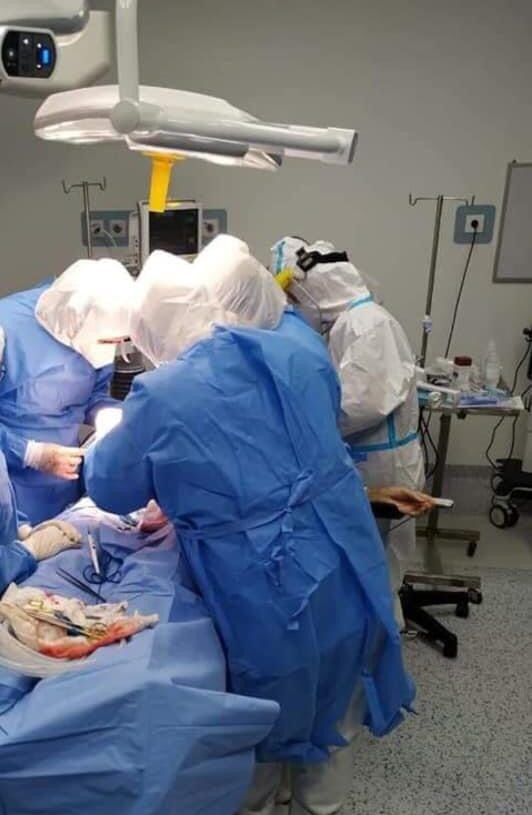 ولادة قيصيرية عاجلة لمريضة كورونا بمستشفى عزل الاسكندرية 20 - جريدة المساء ولادة قيصيرية عاجلة لمريضة كورونا بمستشفى عزل الاسكندرية 19 - جريدة المساء