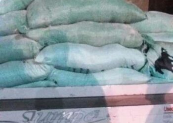 ضبط ٧ طن دقيق مدعم بالشرقية 29 - جريدة المساء