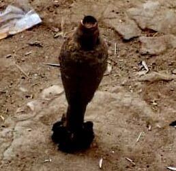العثور على دانة من مخلفات الحرب بترعة بكفر الشيخ 25 - جريدة المساء