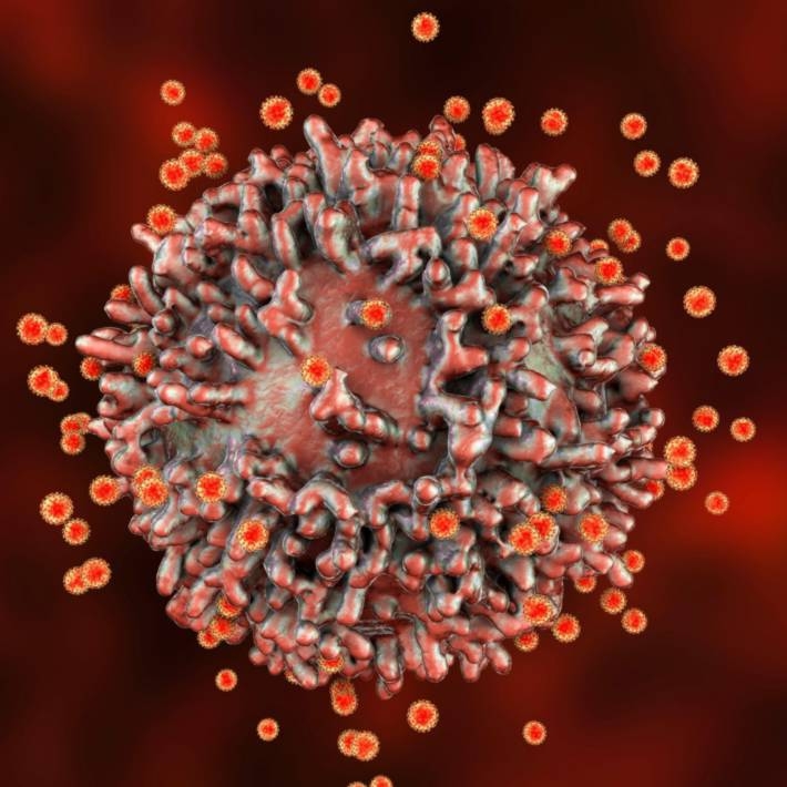 خبير: معدل الإصابة بكوفيد -19 في روسيا ربما ينخفض في فصل الشتاء 19 - جريدة المساء