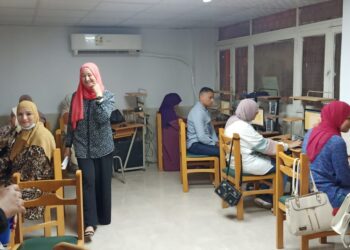 تدريب العاملين بشباب القليوبية علي مهارات الحاسب الآلى ورقمنة البيانات 29 - جريدة المساء