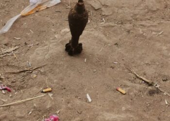 تفاصيل جديدة فى واقعة العثور على دانة حرب قديمة بكفر الشيخ  31 - جريدة المساء