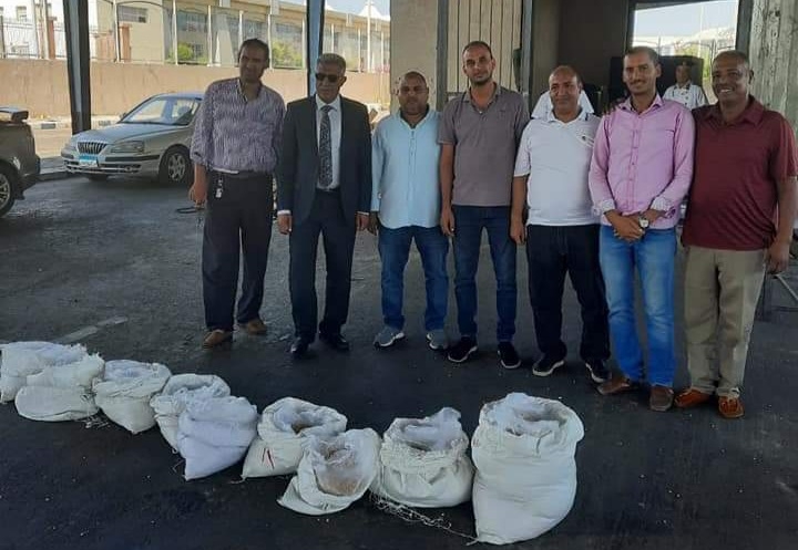 جمارك سفاجا تضبط كمية كبيرة من أقراص "الكيبتاجون" المخدرة 19 - جريدة المساء
