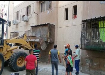 حملة مكبرة لإزالة التعديات بضواحى بورسعيد 15 - جريدة المساء