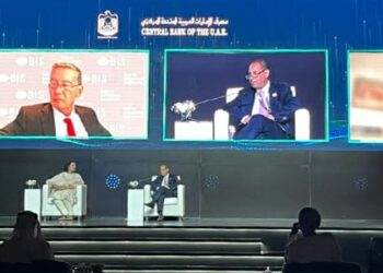 عمران يعرض جهود الرقابة المالية للتمويل الأخضر في مصر 21 - جريدة المساء