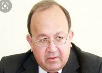 د. صفوت العالم .. تعقيبا على كلام الرئيس : الوعى ضرورة حتمية .. يجب ان تصاحب جميع سلوكياتنا 19 - جريدة المساء