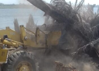 إزالة 400 حالة تعد على أملاك الدولة والأراضي الزراعية ببني سويف 21 - جريدة المساء