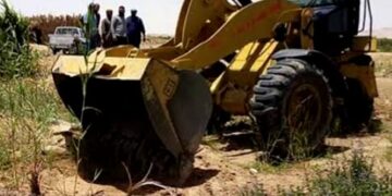 استرداد ٥٣٩٨ فدان أملاك دولة بالوادى الجديد 1 - جريدة المساء