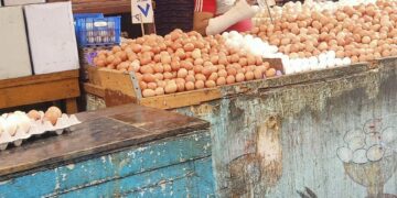 تموين الاسكندرية تطرح كميات كبيرة من البيض بالاسواق لخفض أسعارة 1 - جريدة المساء