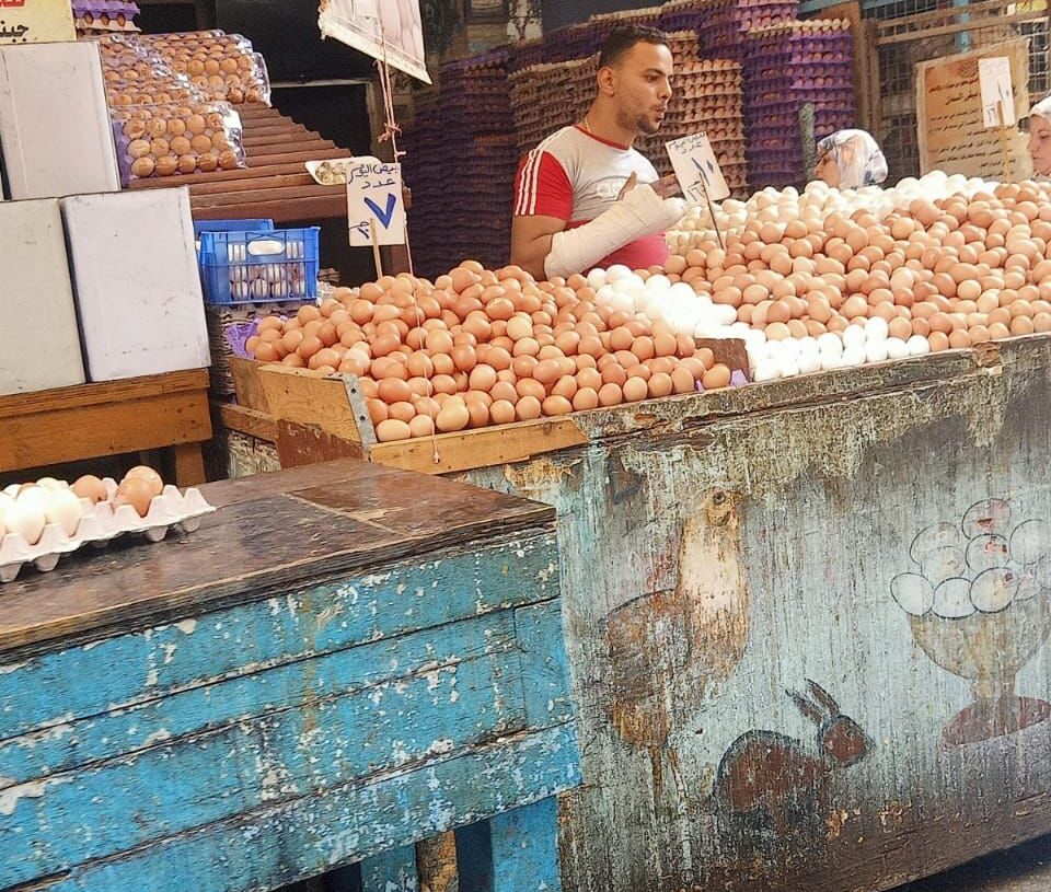 تموين الاسكندرية تطرح كميات كبيرة من البيض بالاسواق لخفض أسعارة 19 - جريدة المساء
