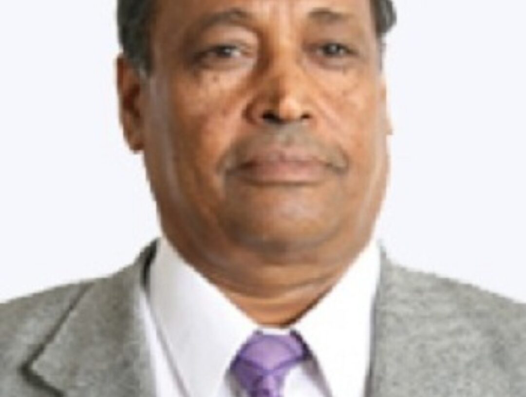 الدكتور مصطفى جودة عن نصر اكتوبر: وقت الشدة يظهر المعدن الأصيل للمصريين  19 - جريدة المساء