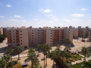 سيناء فى عيد .. بمشروعات ليس لها مثيل .. الرئيس حقق تنمية غير مسبوقة بتكلفة 650 مليار جنيه تعادل ميزانية 20 محافظة 42 - جريدة المساء