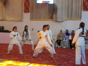 فقرات مسرحية للتوعية بالاستخدام الآمن للإنترنت فى الاحتفال باليوم العالمى للفتاة .. بقوص 49 - جريدة المساء