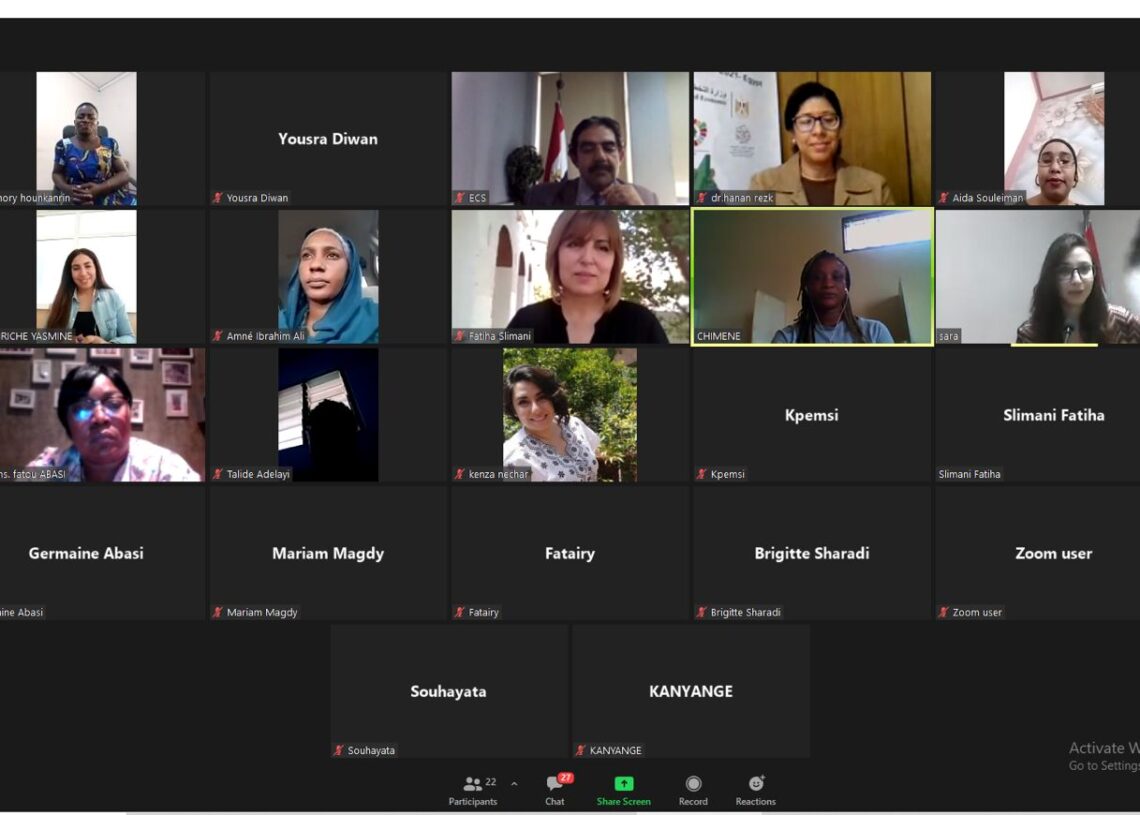 العلاقات التجارية المصرية الأفريقية في"ويبينار" القومي للحوكمة 17 - جريدة المساء