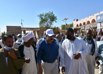 محافظ أسوان يؤكد علي سرعة انهاء اعمال النظافة في الطرق والشوارع الرئيسية والداخلية 29 - جريدة المساء