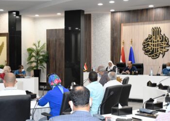 توجيهات رئاسية بتوفير الاعتمادات المالية.. لمتضرري السيول بأسوان 35 - جريدة المساء