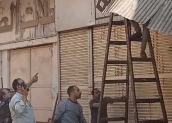 دسوق تواجه الإشغالات والتعديات.. بحملات مكبرة 17 - جريدة المساء