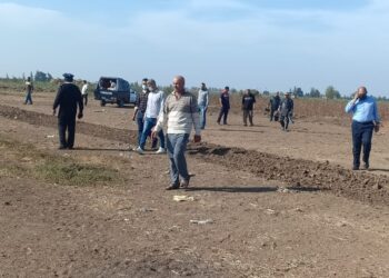 إزالة 36 حالة تعديات على 12.5 فدان في بيلا بكفر الشيخ 21 - جريدة المساء