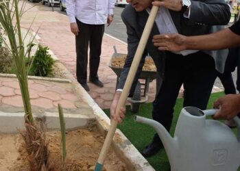 رئيس الوزراء يغرس نخلة بحديقة ٣٠ يونيو بالخارجة 17 - جريدة المساء
