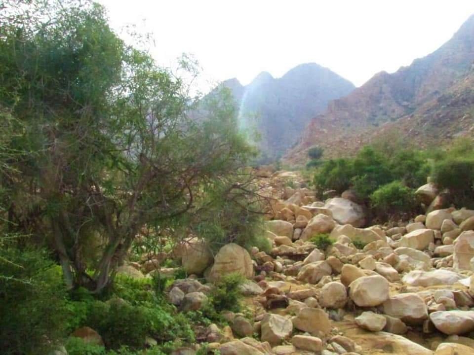 رفع درجة الاستعداد القصوى برأس غارب 18 - جريدة المساء