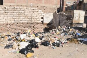 محافظ قنا يوجه بسرعة إزالة القمامة من شوارع "دشنا" .. صور 41 - جريدة المساء