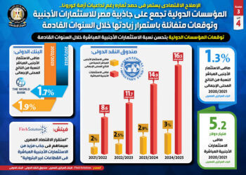 المؤسسات الدولية تجمع على جاذبية مصر للاستثمارات الأجنبية 24 - جريدة المساء