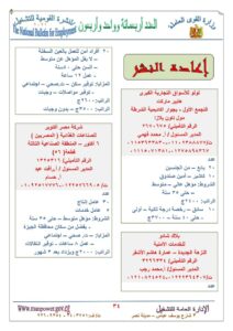 مطلوب شباب لشغل 6189 وظيفة برواتب تصل إلي 10 آلاف جنيه  87 - جريدة المساء