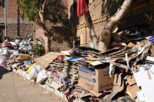 محافظ قنا يوجه بسرعة إزالة القمامة من شوارع "دشنا" .. صور 23 - جريدة المساء