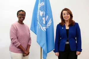 "والى" تبحث مكافحة الجريمة والمخدرات مع رؤساء المنظمات الدولية 17 - جريدة المساء