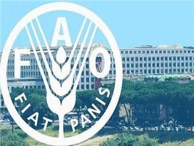 أسعار الأغذية تسجل مستويات قياسية على مستوى العالم الشهر الماضى 19 - جريدة المساء