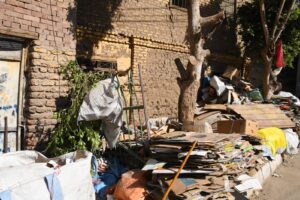 محافظ قنا يوجه بسرعة إزالة القمامة من شوارع "دشنا" .. صور 29 - جريدة المساء