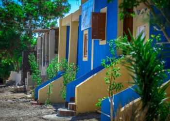 "صناع الخير" وبنك القاهرة يعلنان انتهاء إعادة إعمار قريتين بالفيوم وافتتاح مصنع للسجاد اليدوى 13 - جريدة المساء