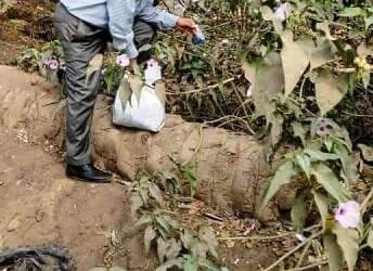 مكافحة القوارض بالشرقية.. لحماية المحاصيل الزراعية 21 - جريدة المساء