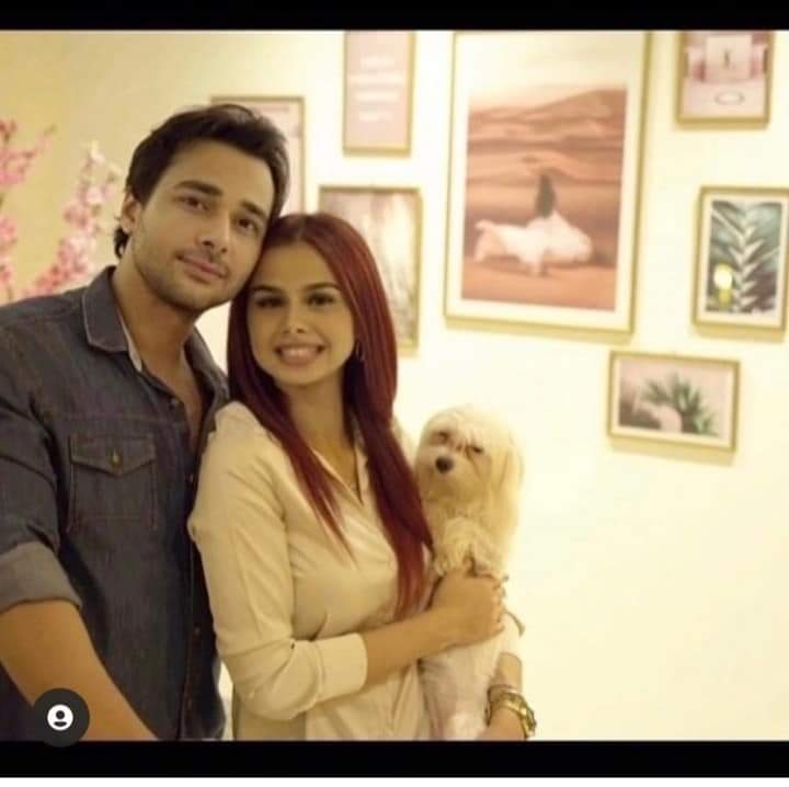 سخرية من عودة منه عرفه لطليقها.. وتعليقات :"العرق الصعيدي راح فين" 17 - جريدة المساء