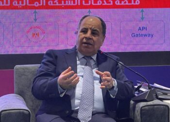 وزير المالية : التجربة المصرية فى تحديث وميكنة منظومتى الجمارك والضرائب تتسق مع المعايير الدولية 35 - جريدة المساء