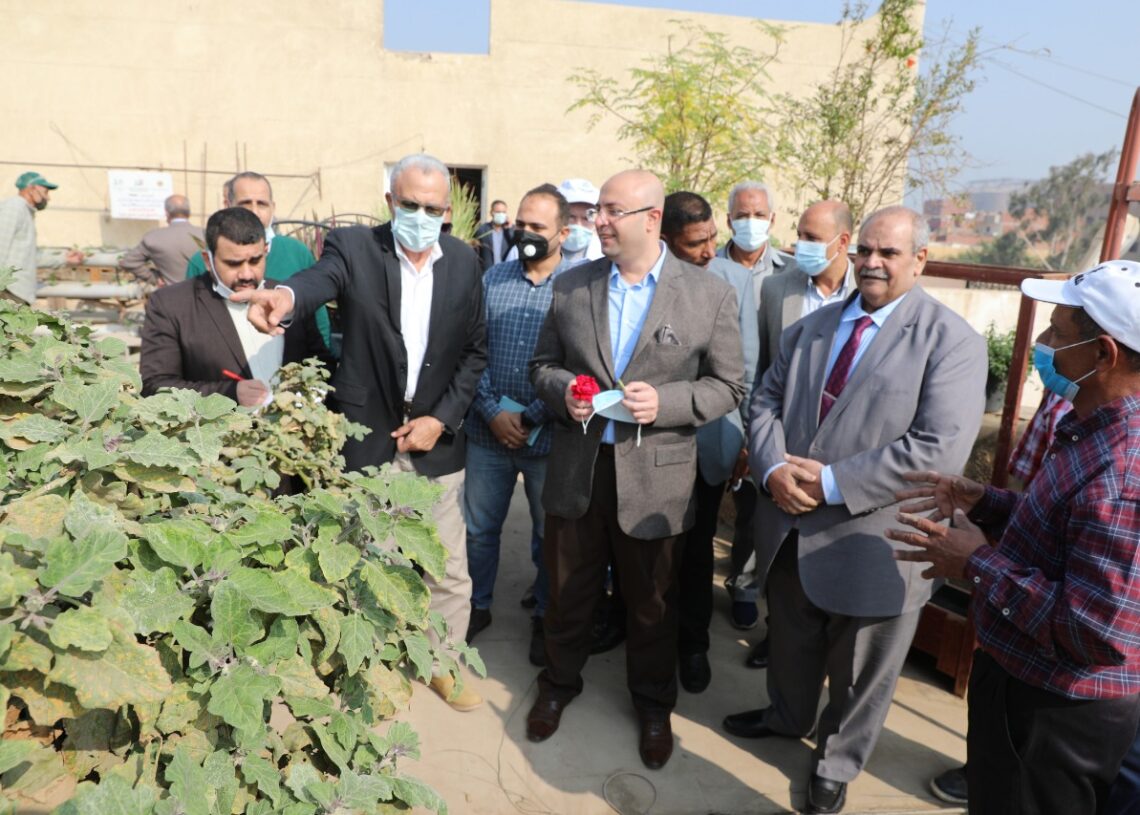 محافظ بني سويف يتفقد نموذج زراعة الهيدروبونيك الموفرة للمياه 18 - جريدة المساء