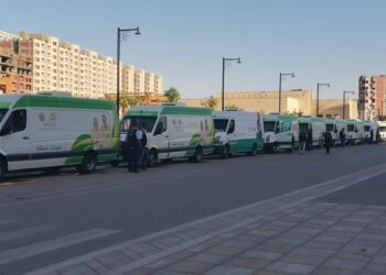 حياة كريمة تطلق 4 قوافل طبية لمتضرري السيول في أسوان 25 - جريدة المساء