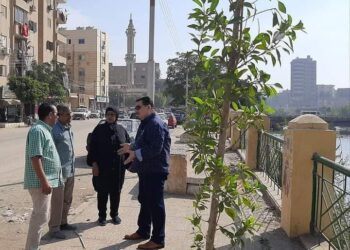 زراعة 510 شجرة على الطرق والشوارع وأمام المدارس بحى غرب سوهاج 15 - جريدة المساء